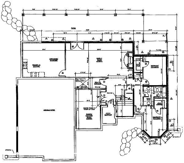 lower floor house blueprint